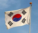 大韓民國國旗:產生背景,確立歷程,設計要素,圖案規格,相關旗幟,旗桿樣式,象徵意義_中文百科全書