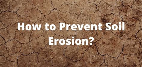 How To Prevent Soil Erosion 7 Strategies To Prevent It