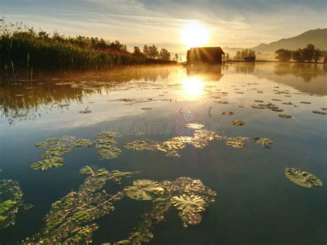 The Mountain Lake With Dock And Boat House Stock Photo Image Of Lake