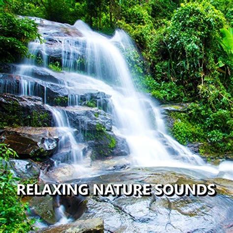 Relaxing Nature Sounds Von Sounds Of Nature Bei Amazon Music Amazonde