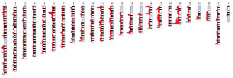 Github Eweitzideogram Chromosome Visualization For The Web