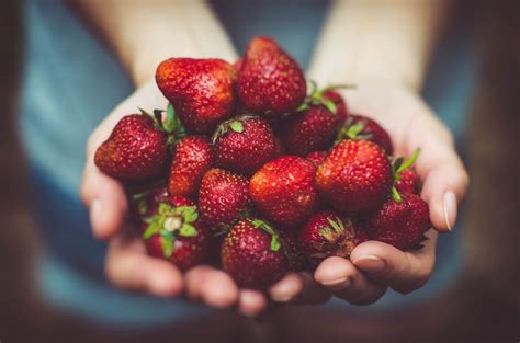 Free Images Strawberry Food Strawberries Fruit Produce Red