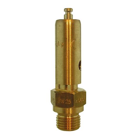 Pressure Relief Valve 14 Bspp Set 50 Bar Yarl