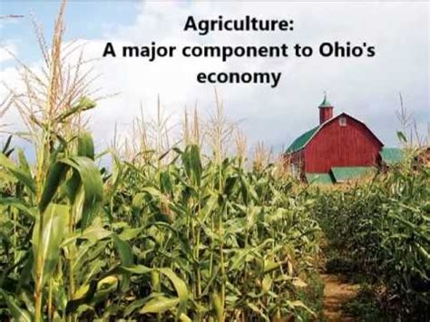 Climate change in Northeast Ohio - YouTube