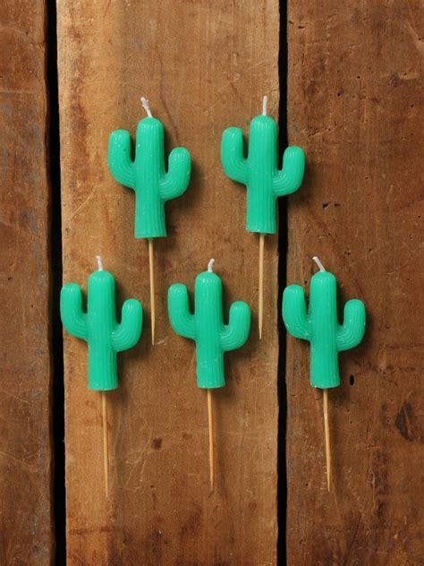4 Height Set Of 5 Unscented Cactus Candles Candle Set Mini Cactus