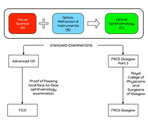 Planning The Ico Examinations With Residency A Guide For Postgraduates