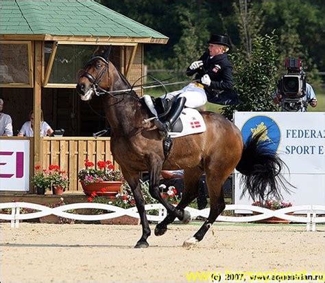 'harry's remarks about his father, i simply fail to understand. Possible Changes in Eventing