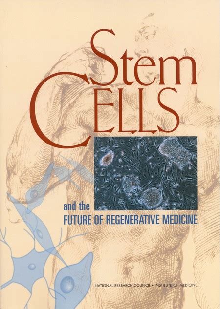 Stem Cells And The Future Of Regenerative Medicine The National Academies Press