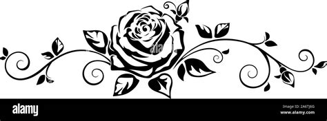 Vector Horizontal Black And White Vignette With A Rose Stock Vector