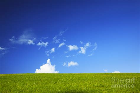 Grass Cloud Sky Photograph By Brandon Tabiolo Printscapes Fine Art