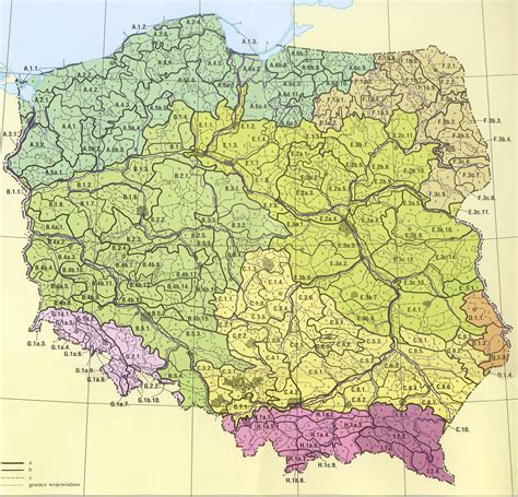 Na Jakiej Półkuli Leży Polska - Mapa Fizyczna Polski Test