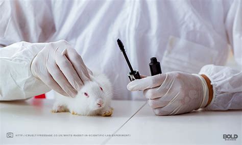 Maybe you would like to learn more about one of these? Animal Research: Indispensable or Inhumane? - Bold Business