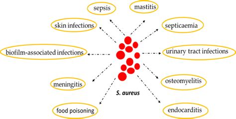 Staphylococcus Aureus Infection Symptoms
