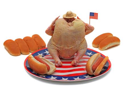fourth of july bbq stock image image of independence 9208997