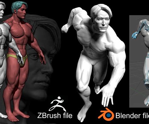 Artstation Basemesh Muscular Male Resources