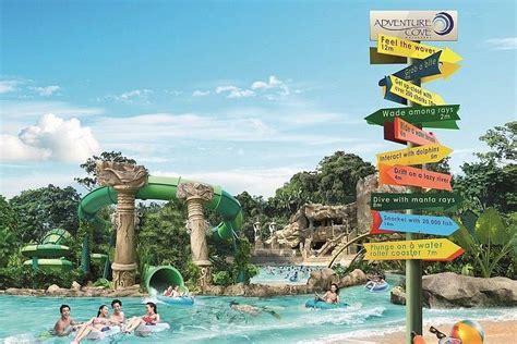 Tripadvisor Billet Dentrée Au Parc Aquatique Adventure Cove Proposé