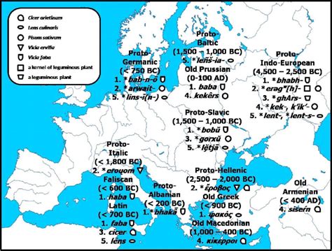 Linguistic And Geographical Evolution Of The Proto Indo European Roots