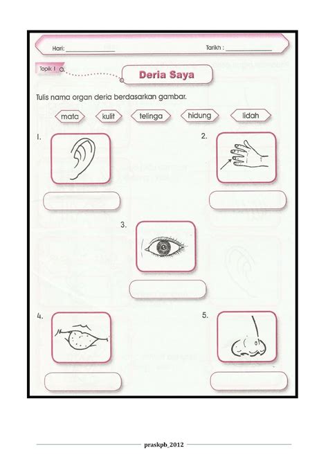 Hidup Latihan Lembaran Kerja Sains Prasekolah Lembaran Kerja Sains
