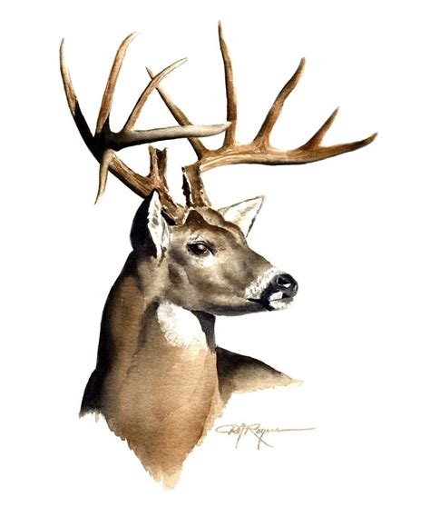 Color Deer Antler Drawing How To Draw A Deer With Color Pencils Time