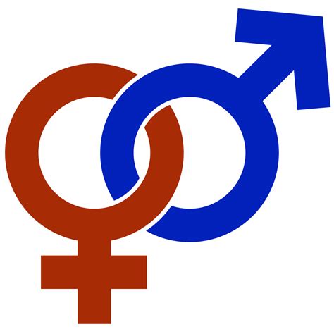 Gender Across Cultures Scientips