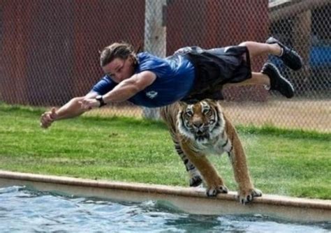 Perfectly Timed Photos 208 Epic Fails Funny Funny S Fails Perfectly Timed Photos
