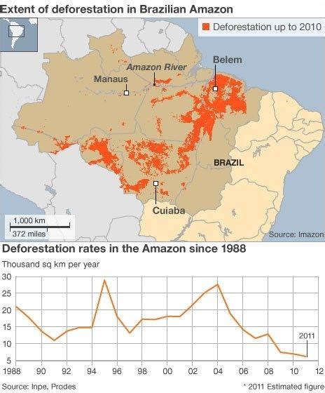 Brazils Congress Approves Controversial Forest Law Bbc News