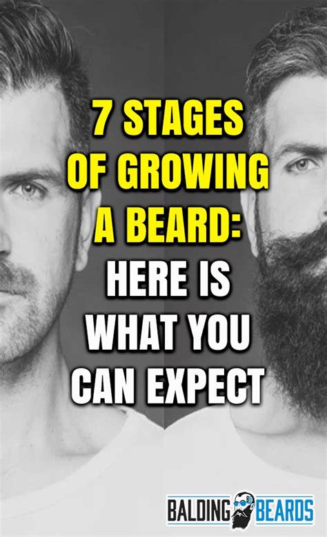 The 7 Stages Of Growing A Beard Here Is What You Can Expect Grow