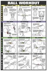Swiss Ball Exercises Images