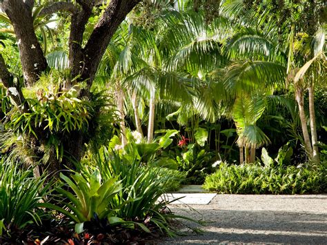 South Miami Garden Tropical Landscape Miami By Raymond Jungles