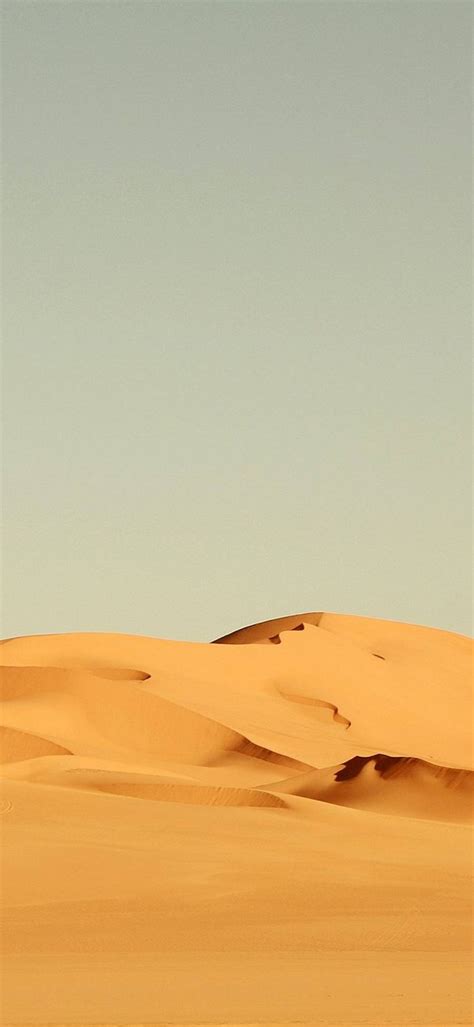 Sahara Desert 1080x2340