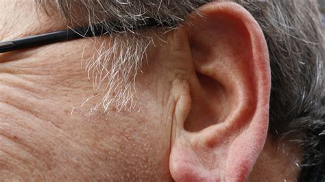 Why Do Older People Have Big Ears Nbc News