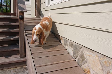How To Make A Dog Ramp For Stairs