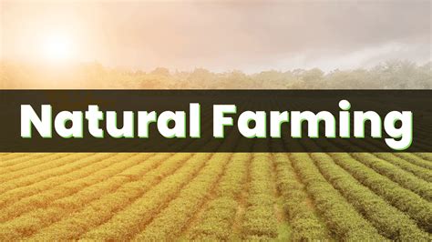 Natural Farming Definition History And Benefits Agri Books