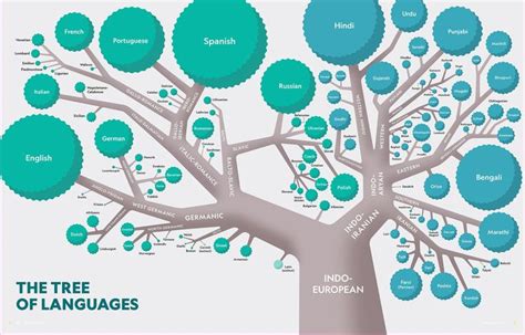The Tree Of Languages For National Geographic Learning Cengage