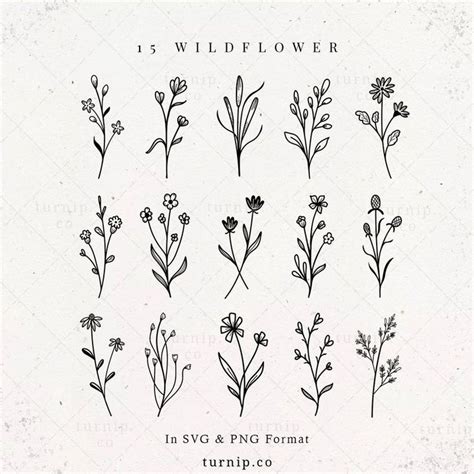 Wildflower SVG Bundle PNG Botanical Clipart Sublimation | Etsy in 2021