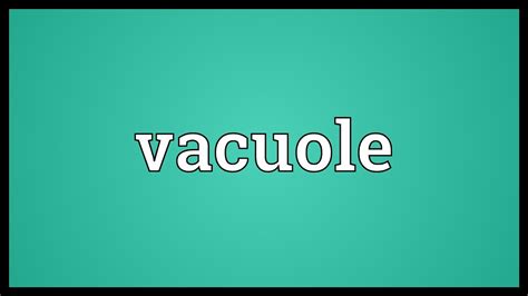 Vacuole Meaning - YouTube