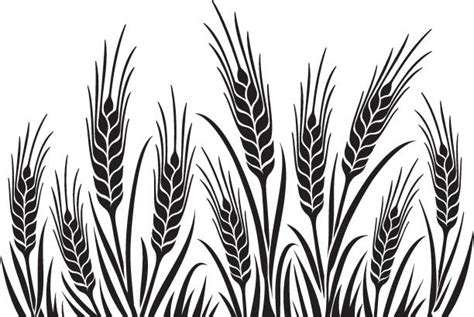 Wheat Illustrations Royalty Free Vector Graphics And Clip Art Istock