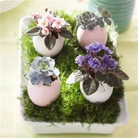 Diy Gives You More Fun Planting Flowers In The Eggshell Page 6 Of 14