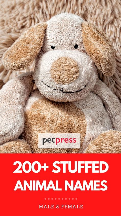 250 Stuffed Animal Names Best Names For A New Stuffed Animal