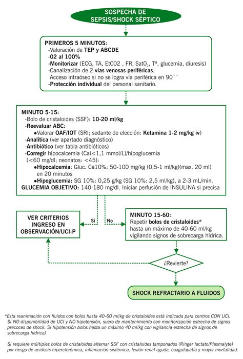 Sepsis Y Shock S Ptico Manuales Cl Nicos