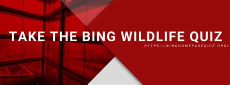 Bing Wildlife Quiz Bing Homepage Quiz