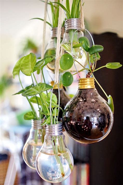 Hanging Light Bulb Planters And Vases Diy For „urban Jungle