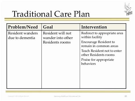 Home Health Care Plan Template