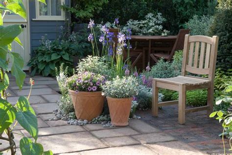 Ideas For Shady Courtyard Gardens Bbc Gardeners World Magazine