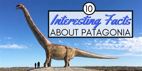 10-fun-facts-about-patagonia-you-ll-love-nomadic-boys