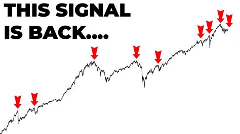Navigating The Conflicting Signals In The Stock Market A Risk Vs