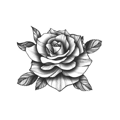 Rose Tattoo Drawings Black And White Tattoos