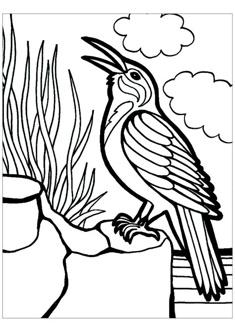 Printable Coloring Pages Of Birds Printable Templates