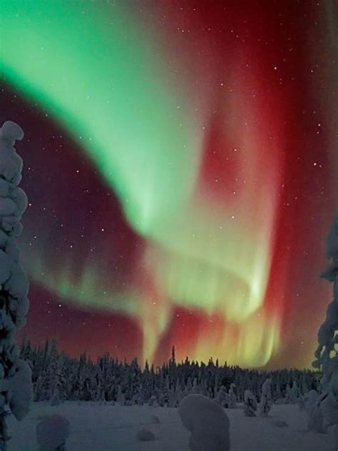 Lapland Aurora Bing Wallpaper Download