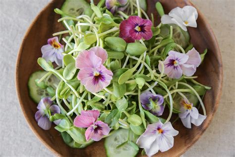 Grow Your Own Edible Flowers Small Green Things
